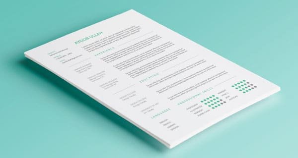 resume-template-3